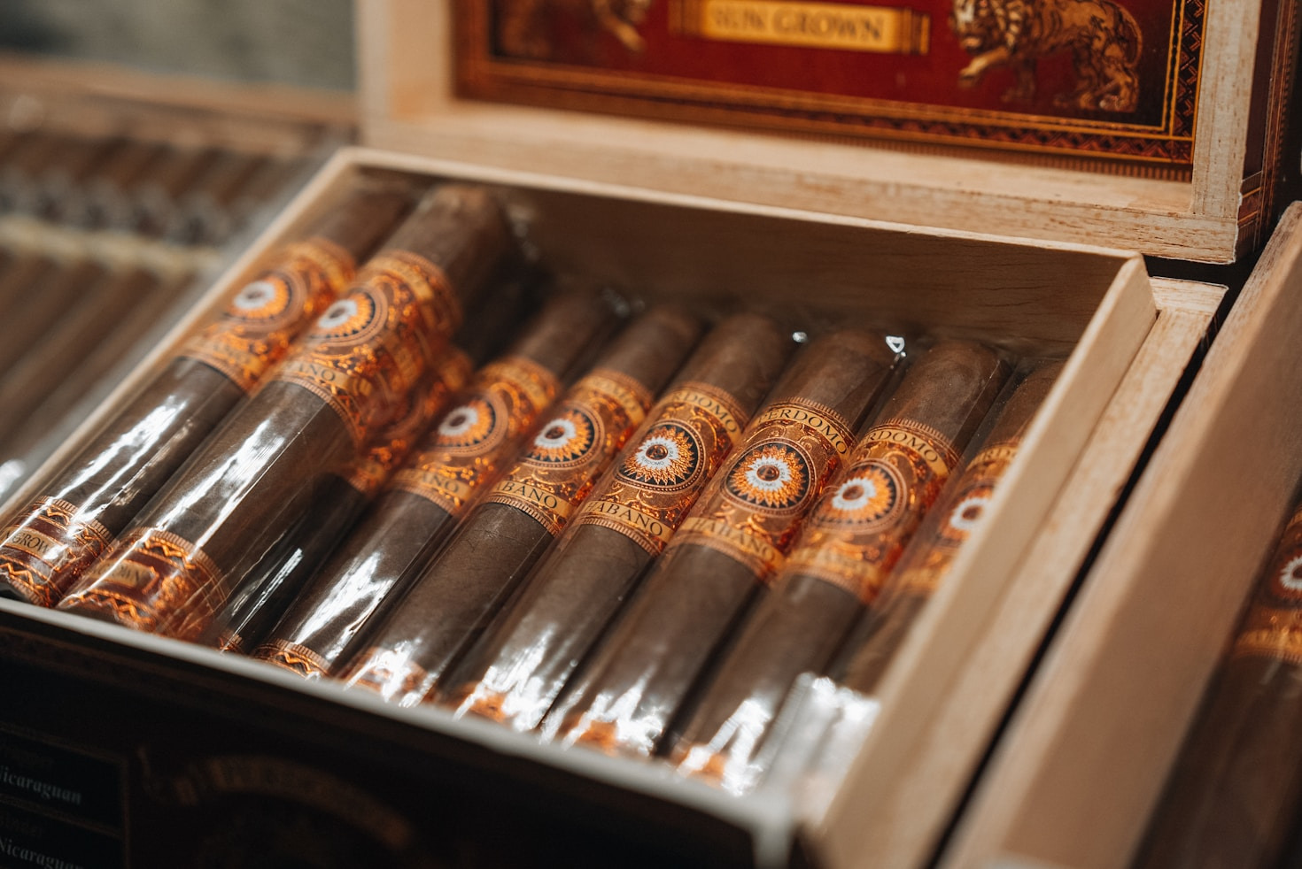 Choosing the Perfect Cigar for Any Occasion